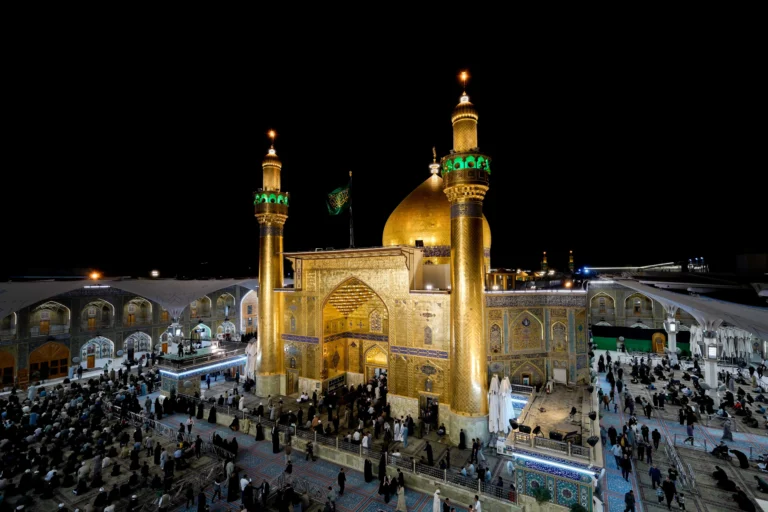 صورة 7