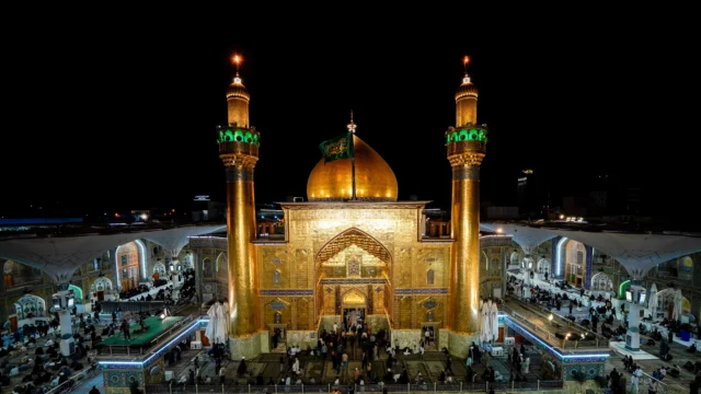 صور فنية
