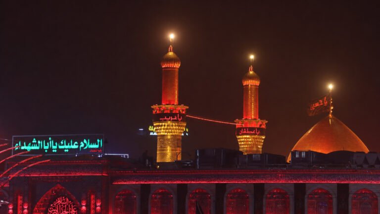 صورة 14
