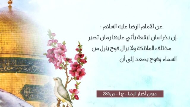 9  فضل زيارة الإمام الرضا عليه السلام
