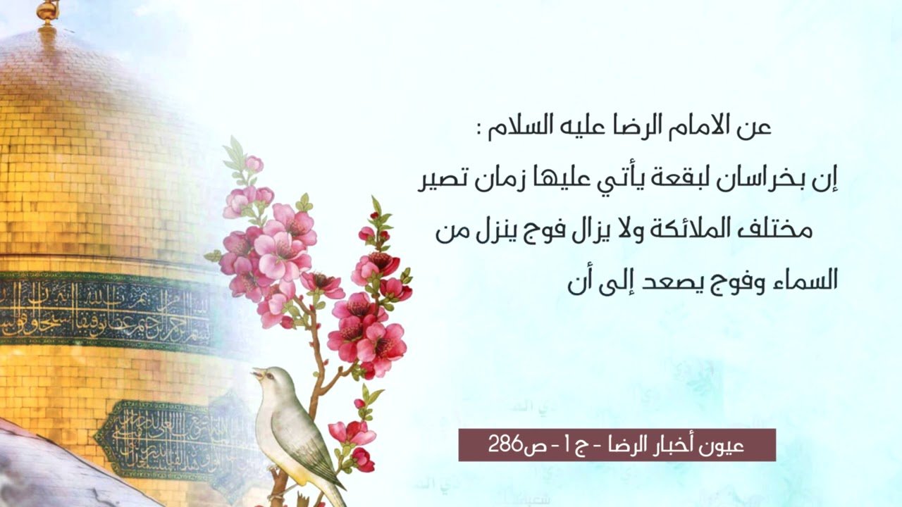 9  فضل زيارة الإمام الرضا عليه السلام