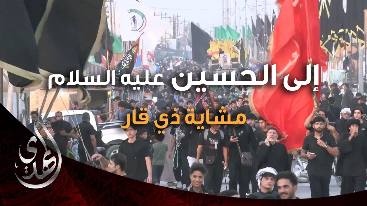 الى الحسين (عليه السلام) – مشاية ذي قار الجبايش – صفر 1446 هـ