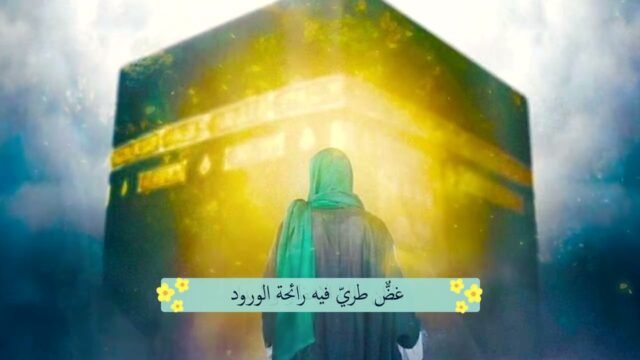ترانيم مهدوية ارث الجدود للشاعر يحيى سراج – اداء السيد رضا نور الدين