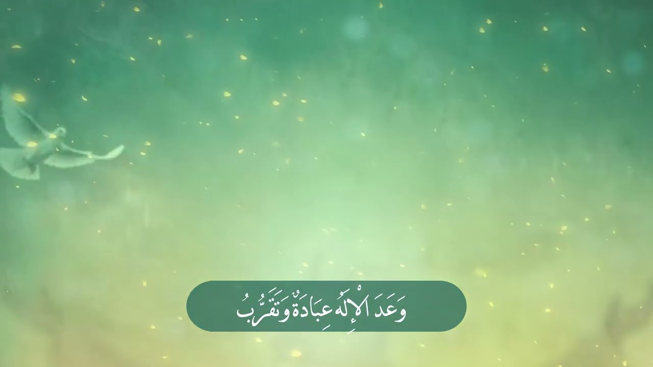 ترانيم مهدوية ختم الأئمة – للشاعر يحيى سراج – بصوت السيد رضا نور الدين