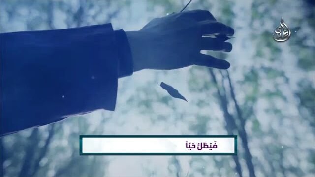 ترانيم مهدوية نجم السماء للشاعر يحيى سراج  – اداء السيد رضا نور الدين