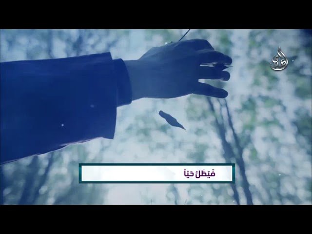 ترانيم مهدوية نجم السماء للشاعر يحيى سراج  – اداء السيد رضا نور الدين