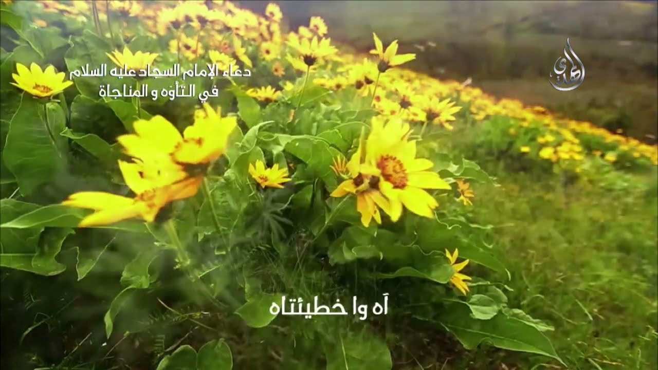 دعاء الامام زين العابدين عليه السلام في التأوه و المناجاة