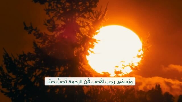 فاصل شهر رجب السيد محمد رضا الشيرازي