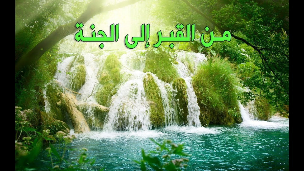 من القبر الى الجنة (وثائقي)