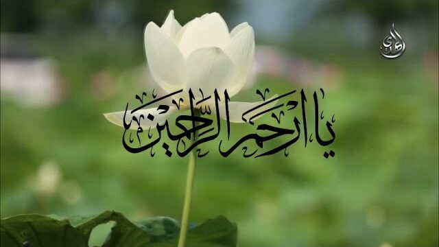 يا ارحم الراحمين – السيد رضا نور الدين