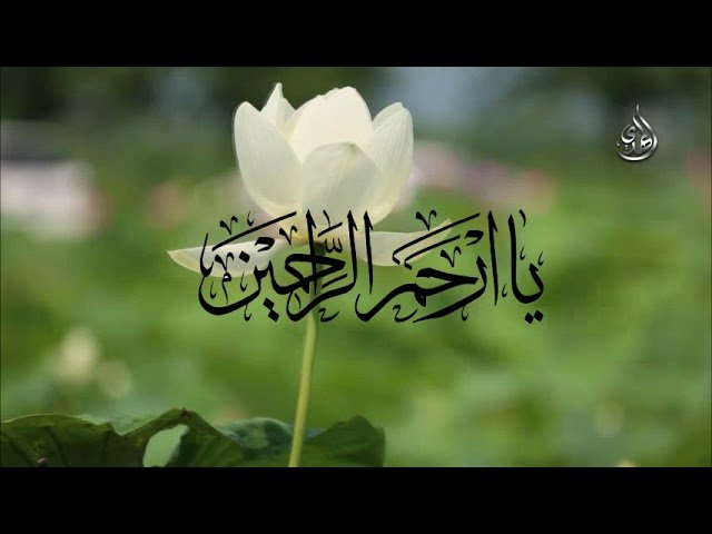 يا ارحم الراحمين – السيد رضا نور الدين