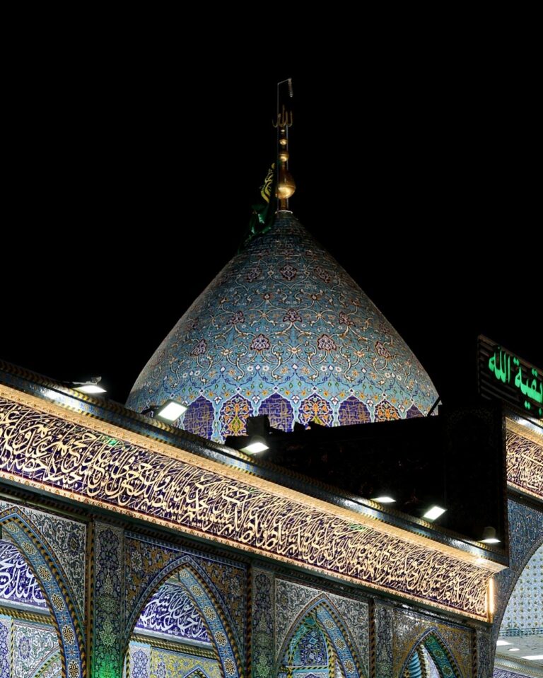 صورة 13